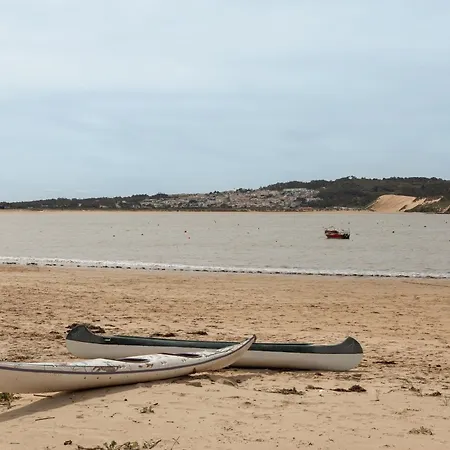 Golden Terrace Delight *