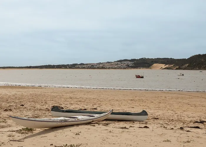 Golden Terrace Delight *